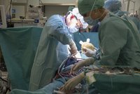 Češi jsou mistry v transplantaci srdce. Nové získalo 700 lidí za deset let