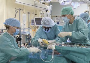 Brněnští lékaři díky unikátní operaci transplantovali ledvinu. Ilustrační foto.