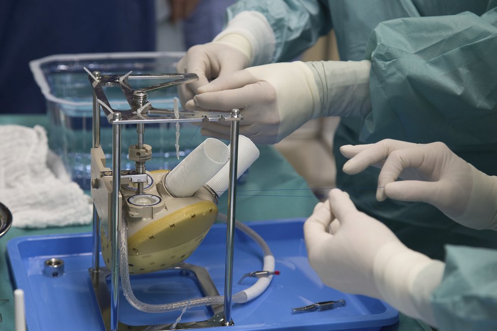 Lékaři IKEM podstoupili přípravu i ve Francii u výrobce srdcí.