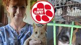 Dodávka plná zablešených a nemocných zvířat: Celníci zastavili transport psů a koček do Německa