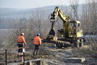 Po 40 letech se svezete z Hrušovan do Židlochovic vlakem! Vrátí se sem koleje