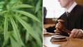 Ústavní soud potvrdil tresty pro provozovatelé growshopů za šíření toxikomanie.