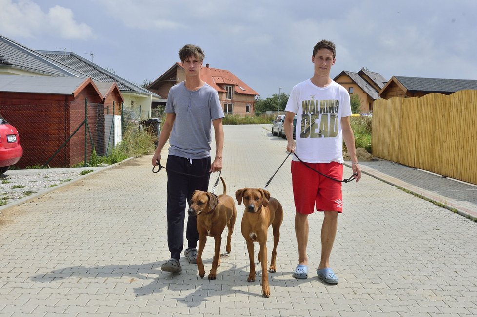 Honza a Lukáš Tušovi (24, 25) psy nepustí z očí.