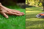 Chraňte svůj trávník před sluncem! Přinášíme vám 10 tipů, jak na krásný pažit.