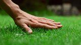 Dokonalý trávník: Osvědčené tipy, jak ho založit a jak o něj pečovat