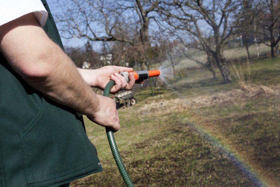 Upravenou plochu nakonec důkladně zalijte