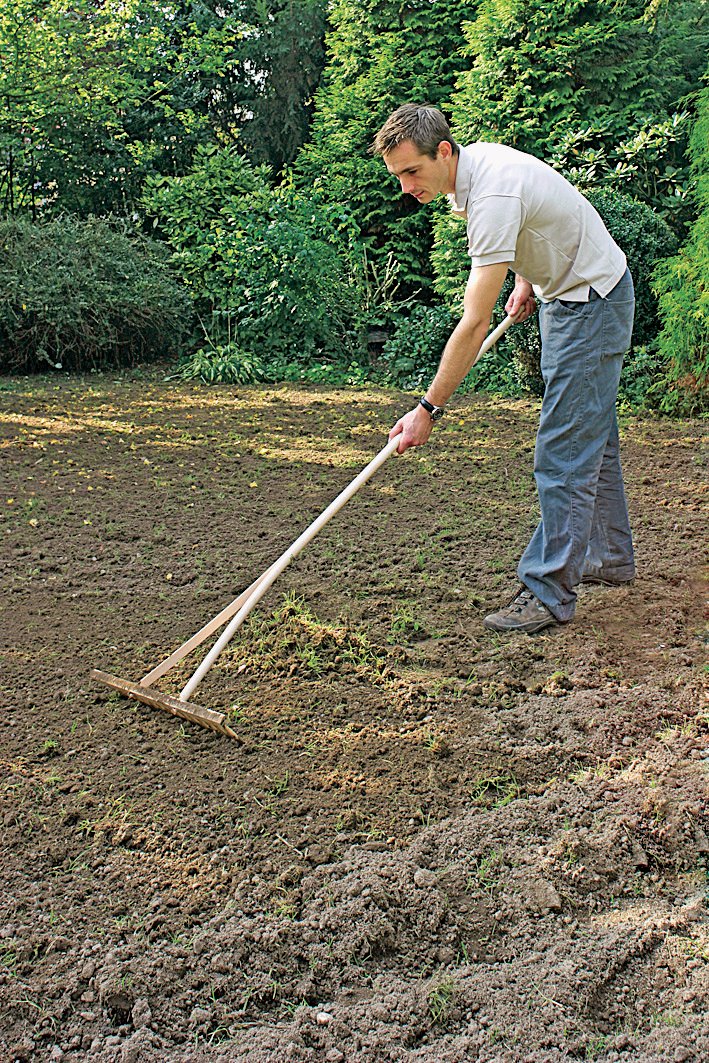 Aby nový trávník rostl a prospíval, musí být půda nakypřená do hloubky jednoho, dvou zarytí rýčem. Větší hroudy hráběmi rozbijte, drny vyhrabte.