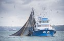 Hlubokomořský rybolov ohrožuje oceány a ničí biodiverzitu mořského dna