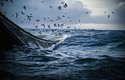 Hlubokomořský rybolov ohrožuje oceány a ničí biodiverzitu mořského dna