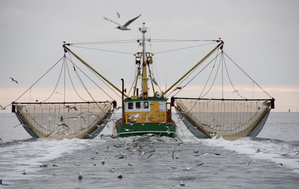 Hlubokomořský rybolov ohrožuje oceány a ničí biodiverzitu mořského dna