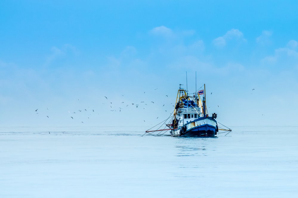 Hlubokomořský rybolov ohrožuje oceány a ničí biodiverzitu mořského dna