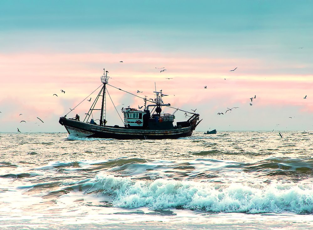 Hlubokomořský rybolov ohrožuje oceány a ničí biodiverzitu mořského dna