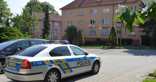 Ve středu krátce před devátou hodinou dopoledne eskortní policejní skupina vraha kojence převezla do vazební věznice v Brně.