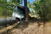 U Třeboně autobus narazil do stromu: V nemocnici skončili řidič a nezletilý pasažér