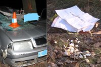 Řidič (†46) který smrtelně havaroval na Třeboňsku, vezl vánoční dárky a cukroví: Před smrtí prý nebezpečně riskoval