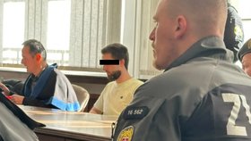 V Trenčíně začal soudní proces s Jozefem, který zastřelil těhotnou Karin.