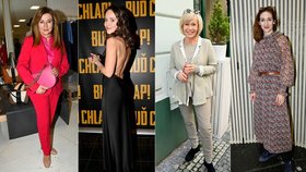 Celebrity ve společnosti: Kdo v ní vynikal a která známá kráska v módě klopýtla?