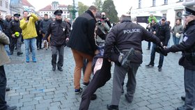 Demonstranta odvedla policie