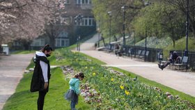 Petřín v době koronaviru a Prvního máje: Počasí moc párům nepřálo, problém je i s hledáním stromů.