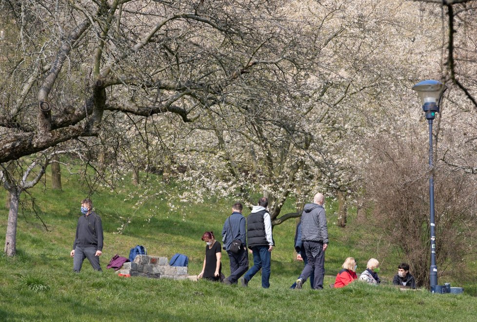 Petřín v době koronaviru a Prvního máje: Počasí moc párům nepřálo, problém je i s hledáním stromů.