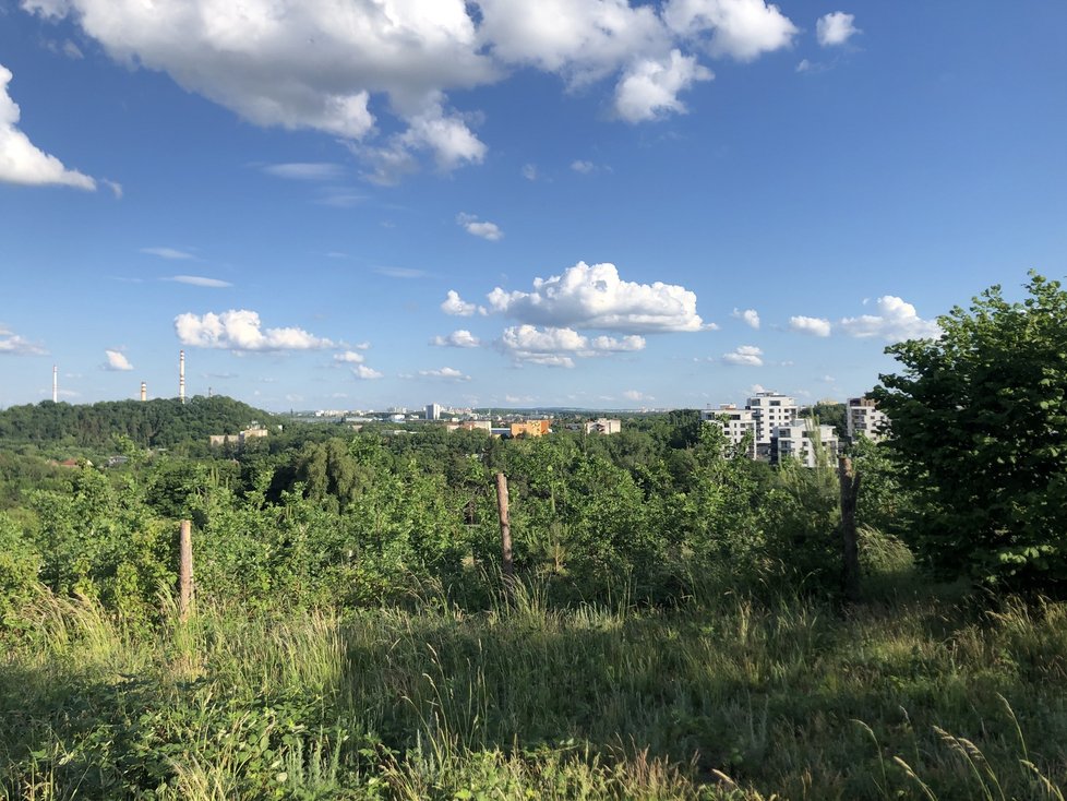 Park Třešňovka.