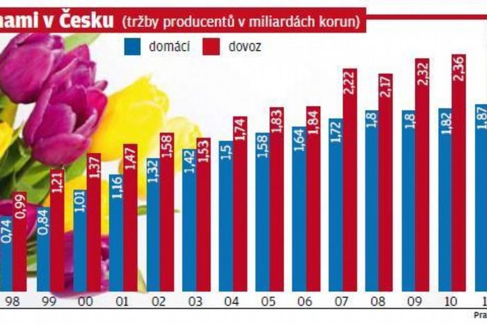 Trh s květinami v Česku