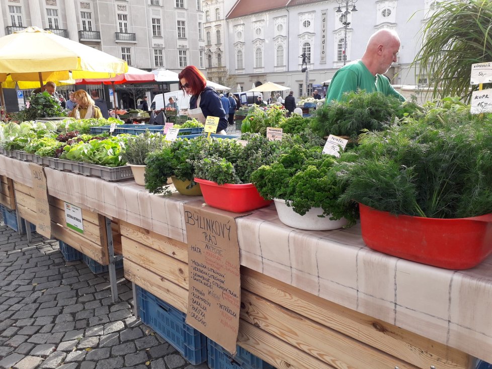Díky výjimečnému počasí mohou lidé ještě poslední týden v roce nakupovat zeleninu, ovoce, koření, bylinky a produkty zahrádkářů pod širým nebem na proslulém Zelném trhu v centru Brna.