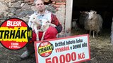 Zemědělec Radek Lipták (34) z Nýřan zabodoval v Denní hře: Trhák zkusil poprvé a má 50 000 Kč! 