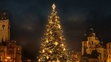 Velký průvodce vánočními svátky 2023: Termíny, otevírací doba, televizní program i tipy na cukroví