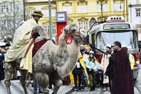 Velbloudi na Karlově mostě vzbudili rozruch: Tříkrálový průvod zahájil charitativní sbírku