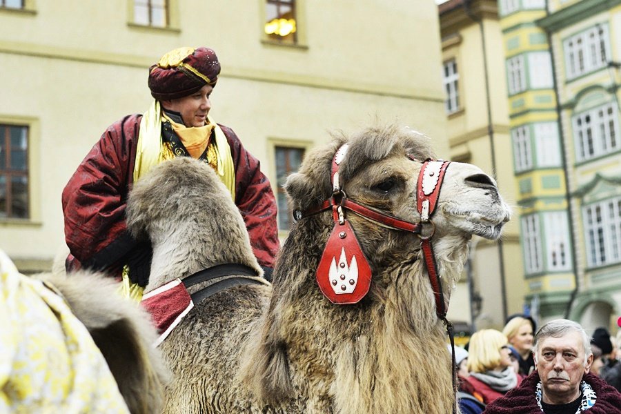 Tříkrálový průvod vzbudil rozruch. Pražané a turisti si s nadšením fotili velbloudy.