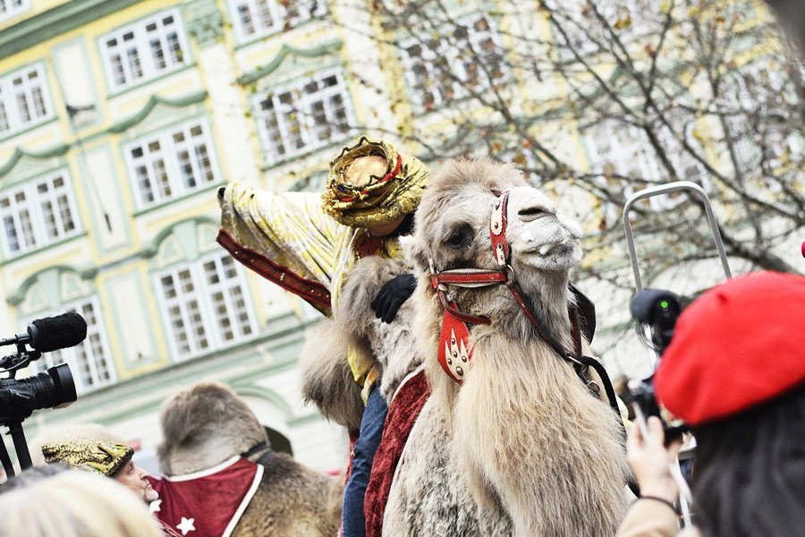 Tříkrálový průvod vzbudil rozruch. Pražané a turisti si s nadšením fotili velbloudy.