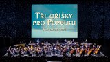 Tři oříšky pro Popelku Kinokoncert: Česká města zažijí ikonickou pohádku s orchestrem naživo
