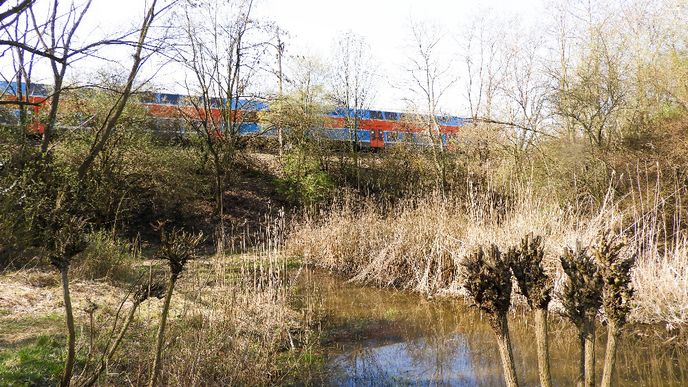 Triangl, jediný pražský mokřad, v různých letošních ročních obdobích.