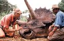 Scéna s nemocnou samicí triceratopse z filmu Jurský park (1993)