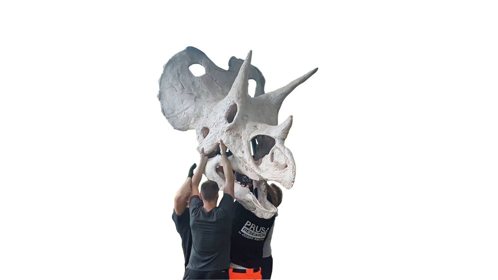 Čtyřicet kilogramů těžký model lebky triceratopse z 3D tiskárny je vystaven v Zoo Praha