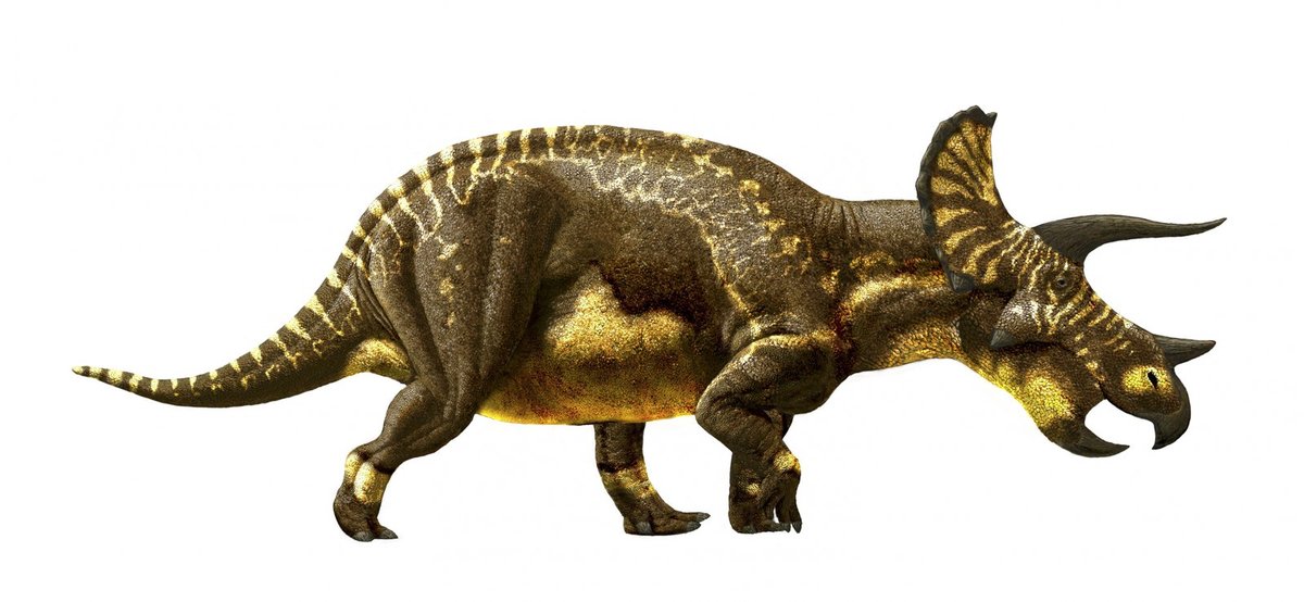 TRICERATOPS