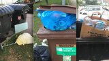 Pražané během pandemie produkují víc odpadu. Město zakáže jednorázové plasty na akcích i v restauracích