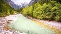 Triglavský národní park je s rozlohou 848 km2 jedním z největších alpských parků. Už v roce 1924 vznikl v oblasti triglavských jezer tzv. Alpský ochranný park, který se postupně rozšiřoval. Jméno dala parku nejvyšší hora Slovinska Triglav, která je zobrazena na slovinském státním znaku a vlajce. Roste tu alpská flóra a ze zvířat tu lze potkat kamzíky, kozorohy, sviště, ale též medvědy a vlky.