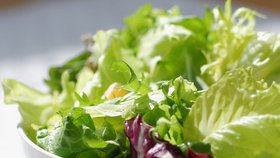 Zabalte salát do vlhké utěrky a zůstane mnohem déle čerstvý a křehký!