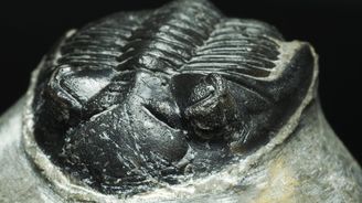 Fascinuje vás minulost? Projeďte se za trilobity a k nejvýchodnějšímu evropskému sídlišti Keltů