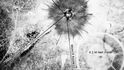 Trinity - první test jaderného výbuchu na světě (16. červenec 1945). Trinity - první test jaderného výbuchu na světě (16. červenec 1945).
