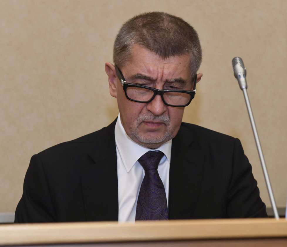 Premiér Andrej Babiš (ANO) dlouhodobě zapírá, že by se v souvislosti s Čapím hnízdem dopustil podvodu.