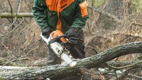 V Břežanském údolí omezuje dopravu odstraňování stromů v havarijním stavu. (Ilustrační foto)