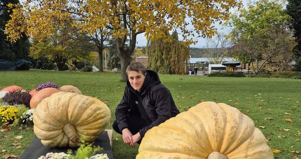 Giga dýně od pěstitele Jirky