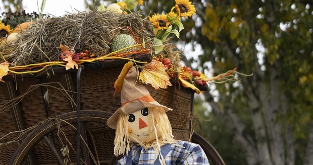 Výstava dýní v Botanické zahradě potrvá ještě do 2. listopadu. Výstava dýní v Botanické zahradě potrvá ještě do 2. listopadu.