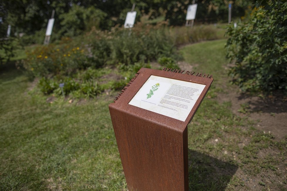 Projekt Vonné stezky v pražské botanické zahradě se bude rozšiřovat. Přibudou další tři zastavení. Ta távající stále lákají spoustu návštěvníků, zrovna tak jako zájemce láká unikátní parfém Fata Morgana no. 1.