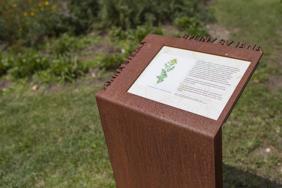 Projekt Vonné stezky v pražské botanické zahradě se bude rozšiřovat. Přibudou další tři zastavení. Ta távající stále lákají spoustu návštěvníků, zrovna tak jako zájemce láká unikátní parfém Fata Morgana no. 1.