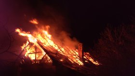 Celou chatku „polkly“ plameny: Hasiče zaměstnal požár u chráněné oblasti v Troji