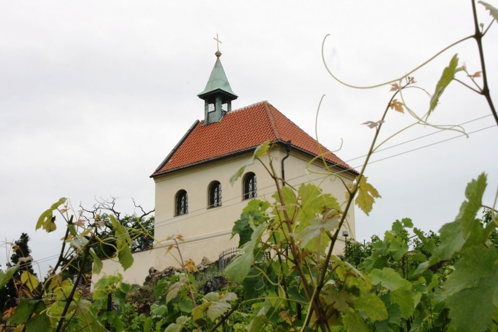 Vinice sv. Kláry v pražské Troji